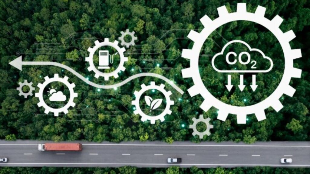 PEF vs. PCF: Differences in Environmental Impact Measurement